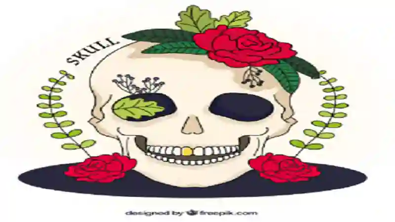 butrflyskullmama